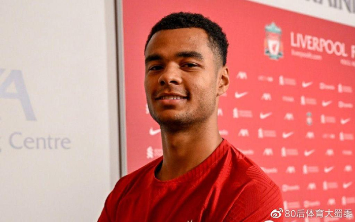 中打出高质 中打出高质