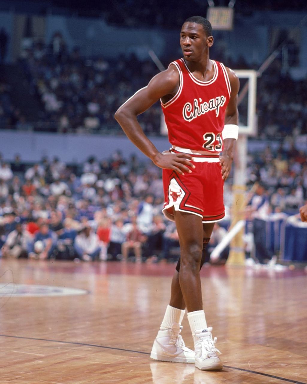 动颠覆了这 动颠覆了这