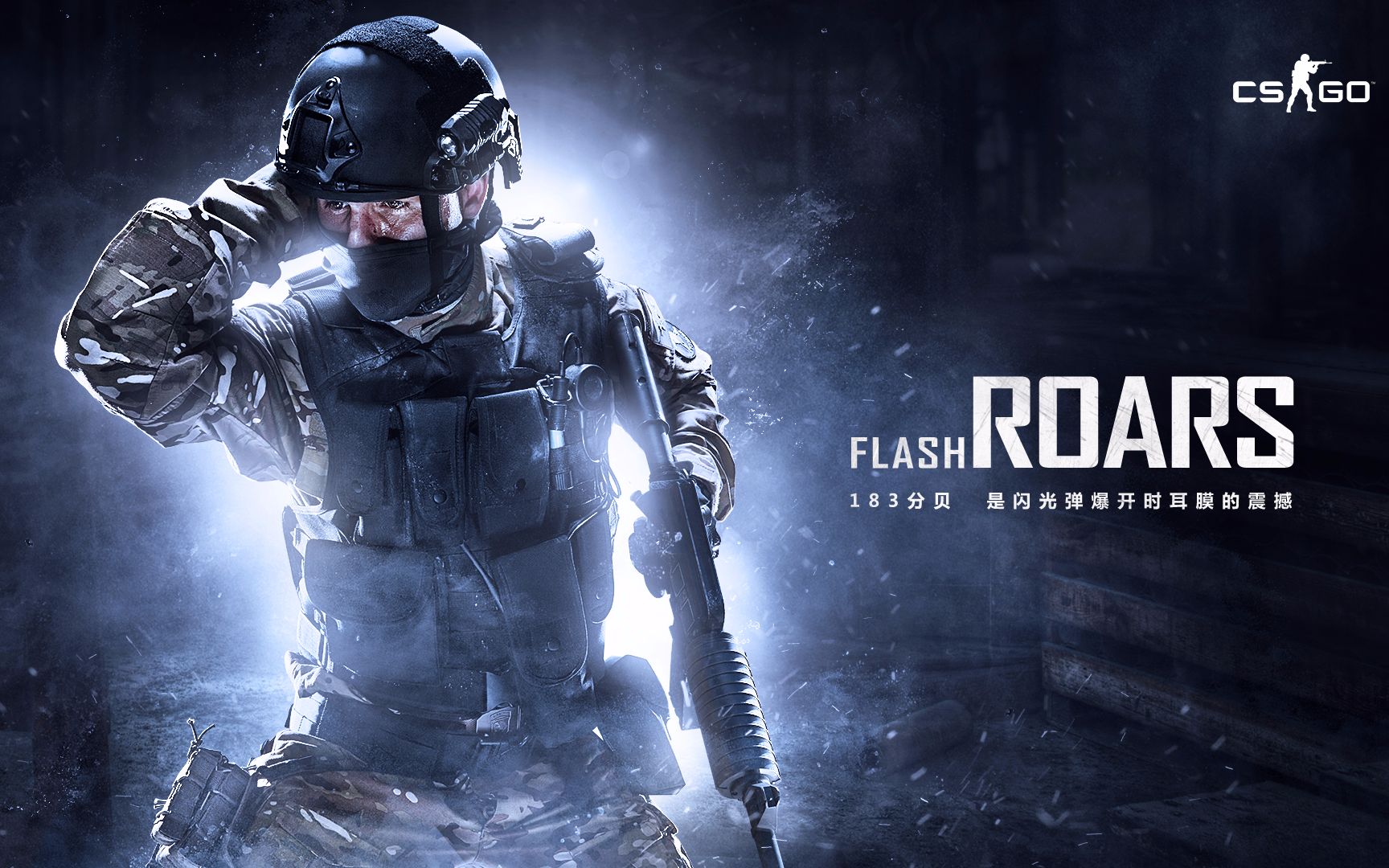 保障体系的 保障体系的