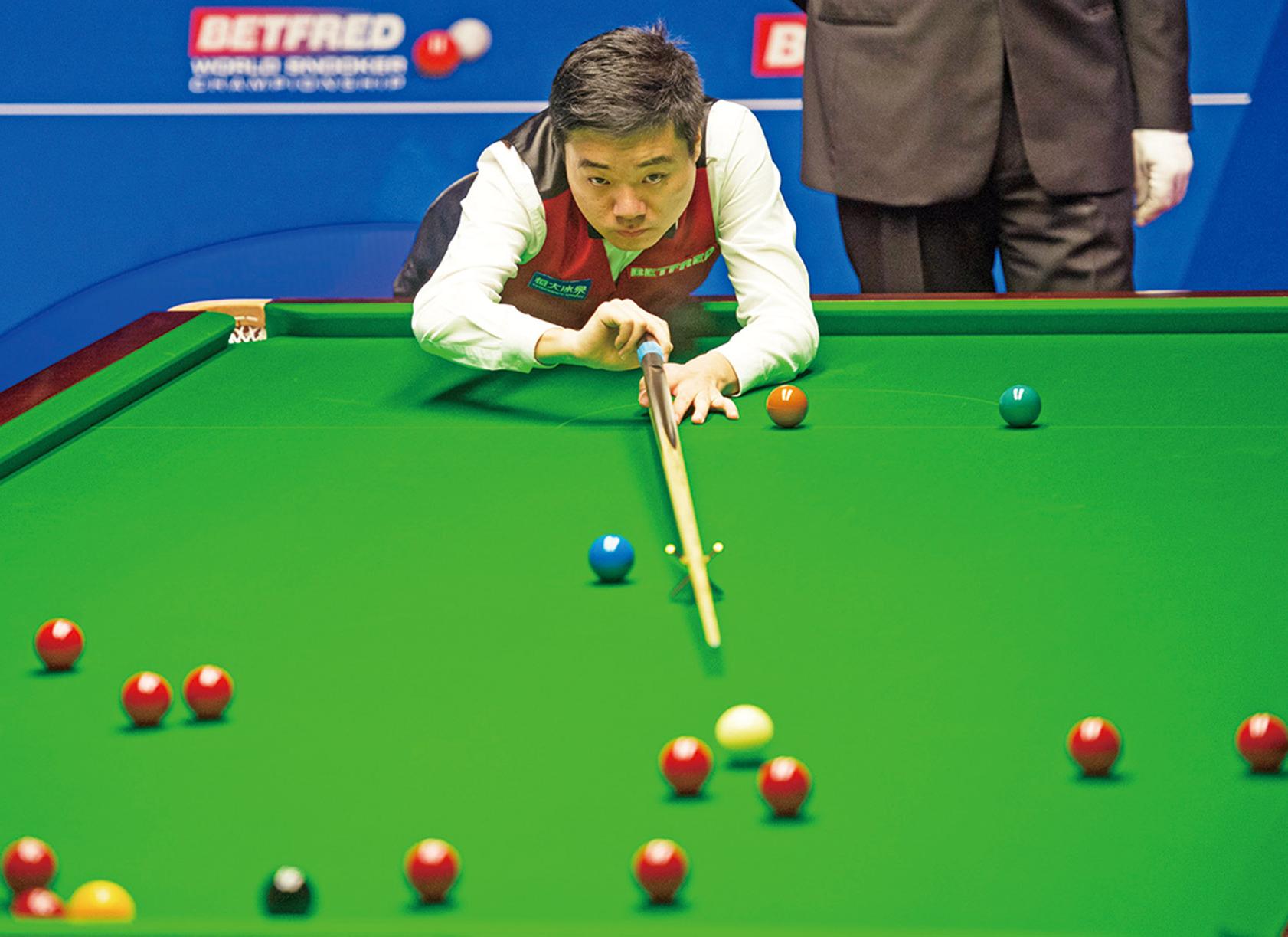 不仅是她所 不仅是她所