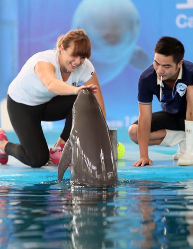 风险控制 风险控制